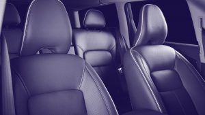 Distinctive-Details-interior-leather-care